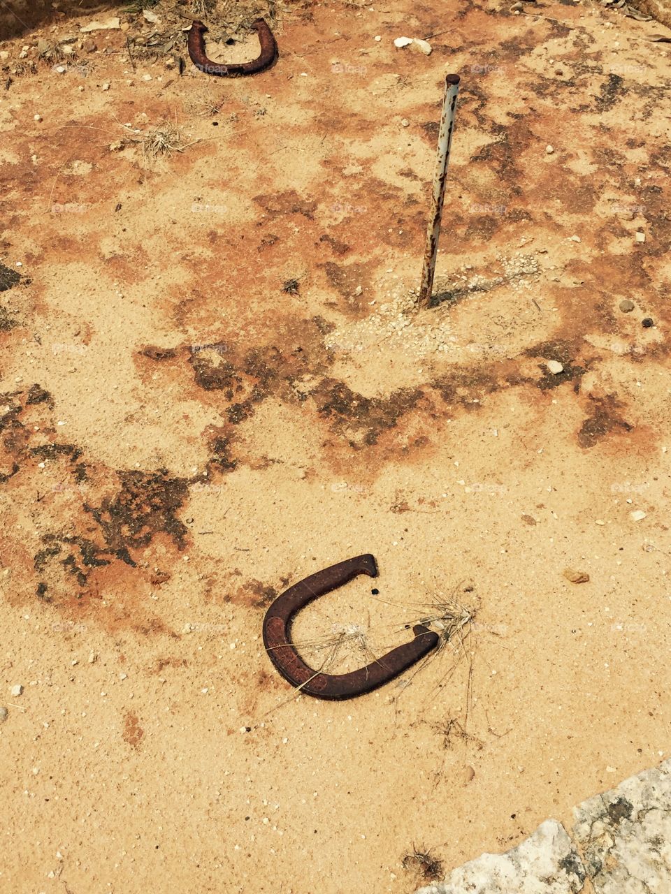 rusty horseshoe