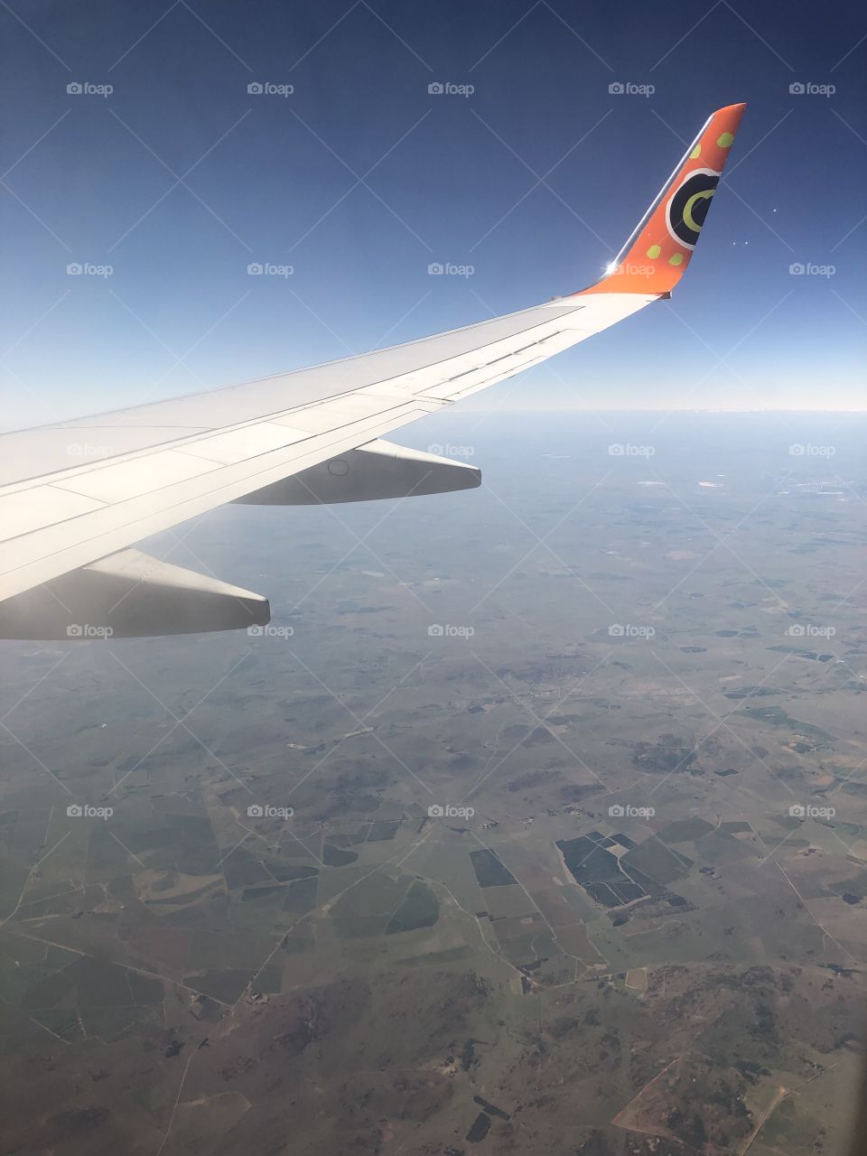 Mango plane wing from air