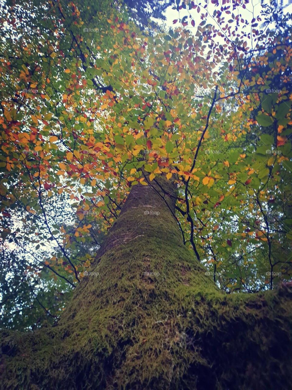 Schön bekleidet  🍁🍂🍁🍂🍁🍂