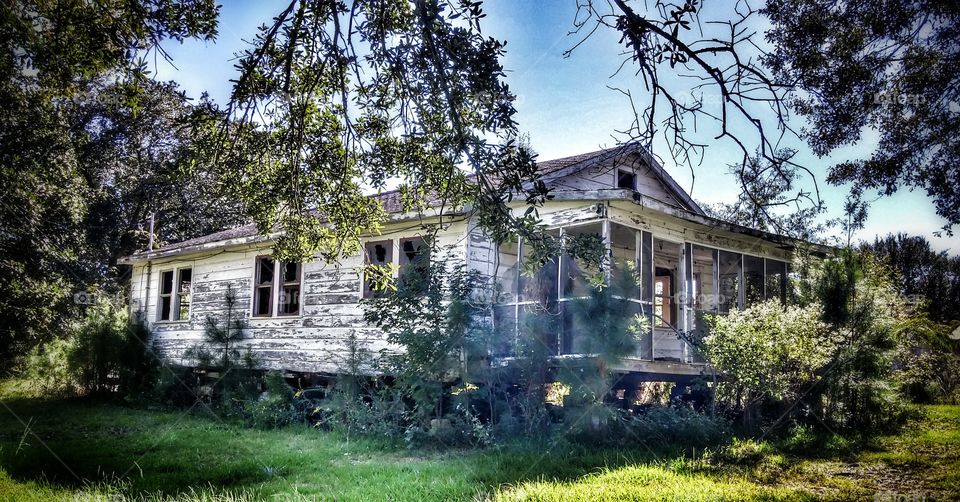 House, Home, Building, Architecture, Tree