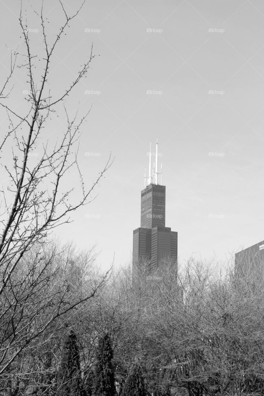 Willis tower