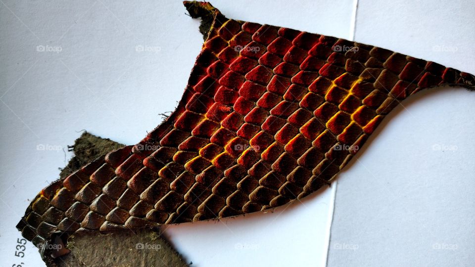 Um belo pedaço de couro prensado trabalhado confecção de calçados especialmente botas country.