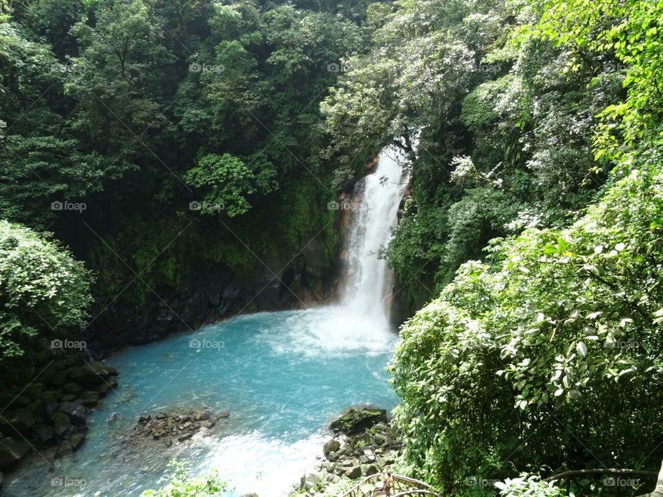 Water, Waterfall, Nature, Wood, River