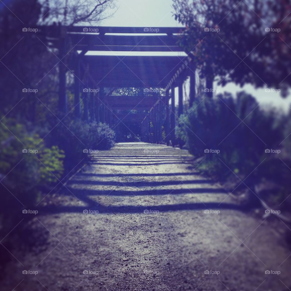 botanical gardens. walking in botanical gardens today.