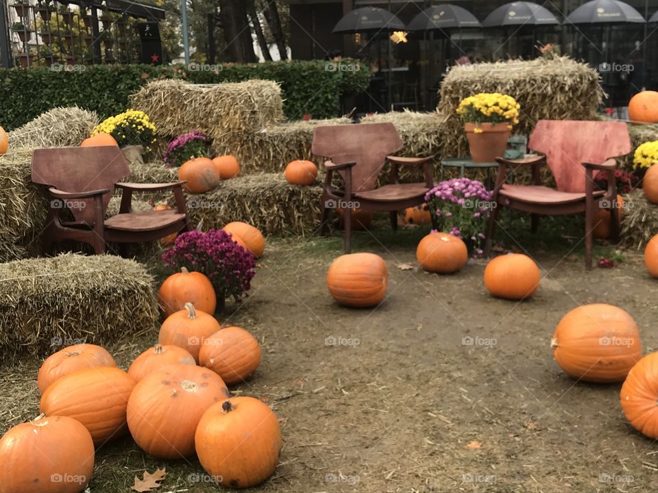 Pumpkin decoration with chairs and flowers on the street.