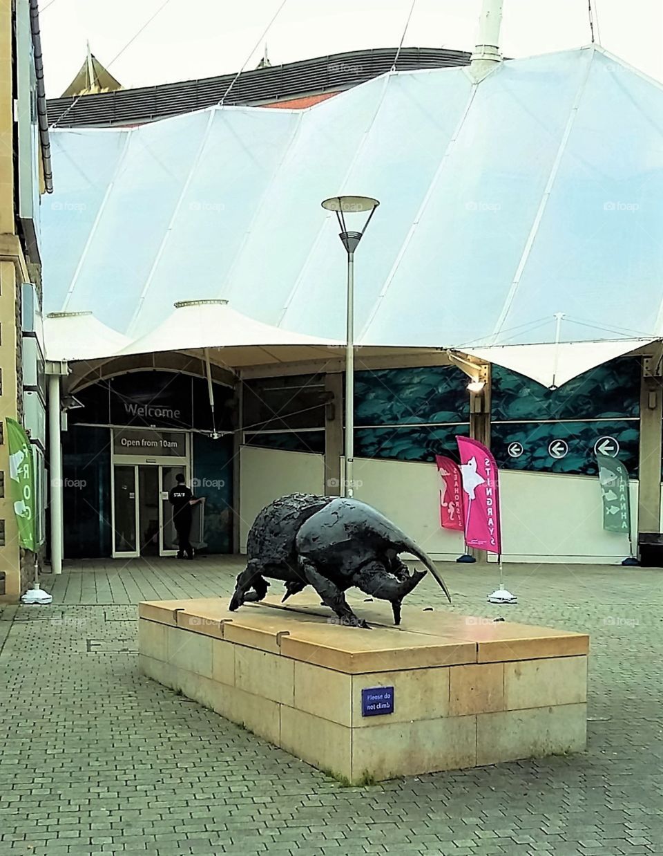 Beetle-effect Statute