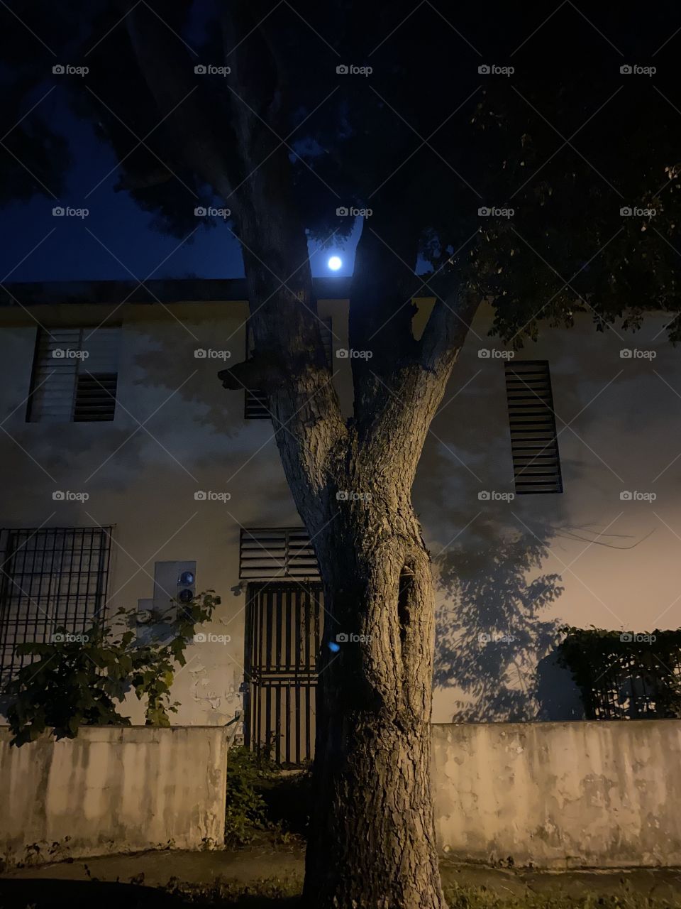 A beautiful view of the moon in a dark night!