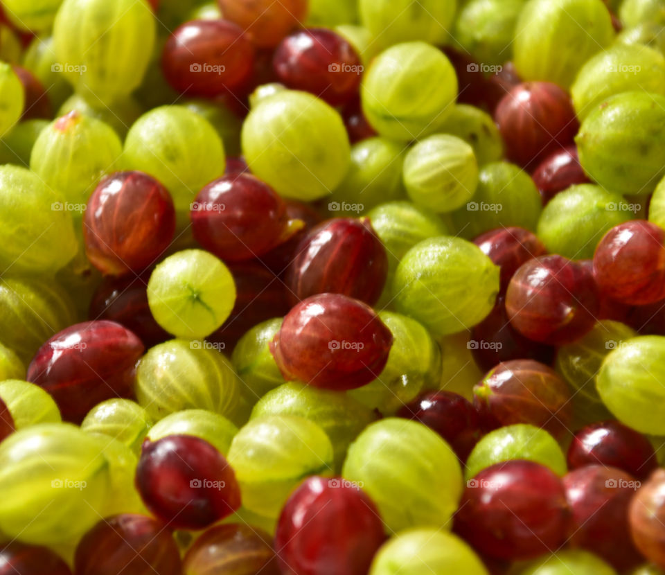 Red and green gooseberries 