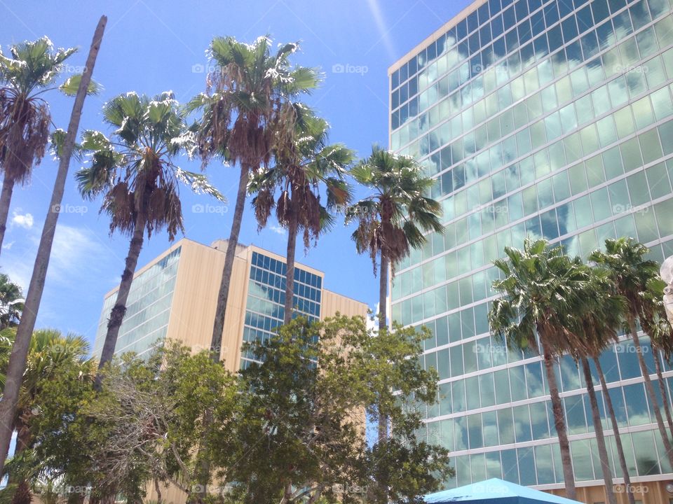 Double Tree by Hilton