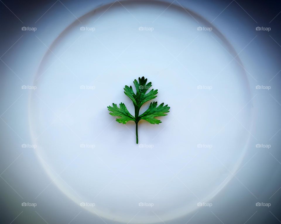 Just because we're alone doesn't mean we're lonely! ;)