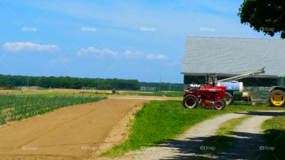 Agriculture, Farm, Field, Landscape, Grass