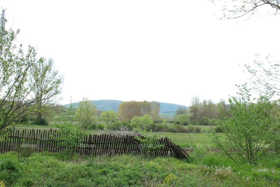 Countryside 💚🤗