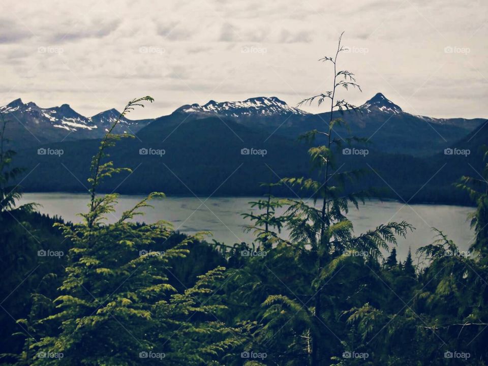 Beautiful Mountain Scene Taken In Alaska