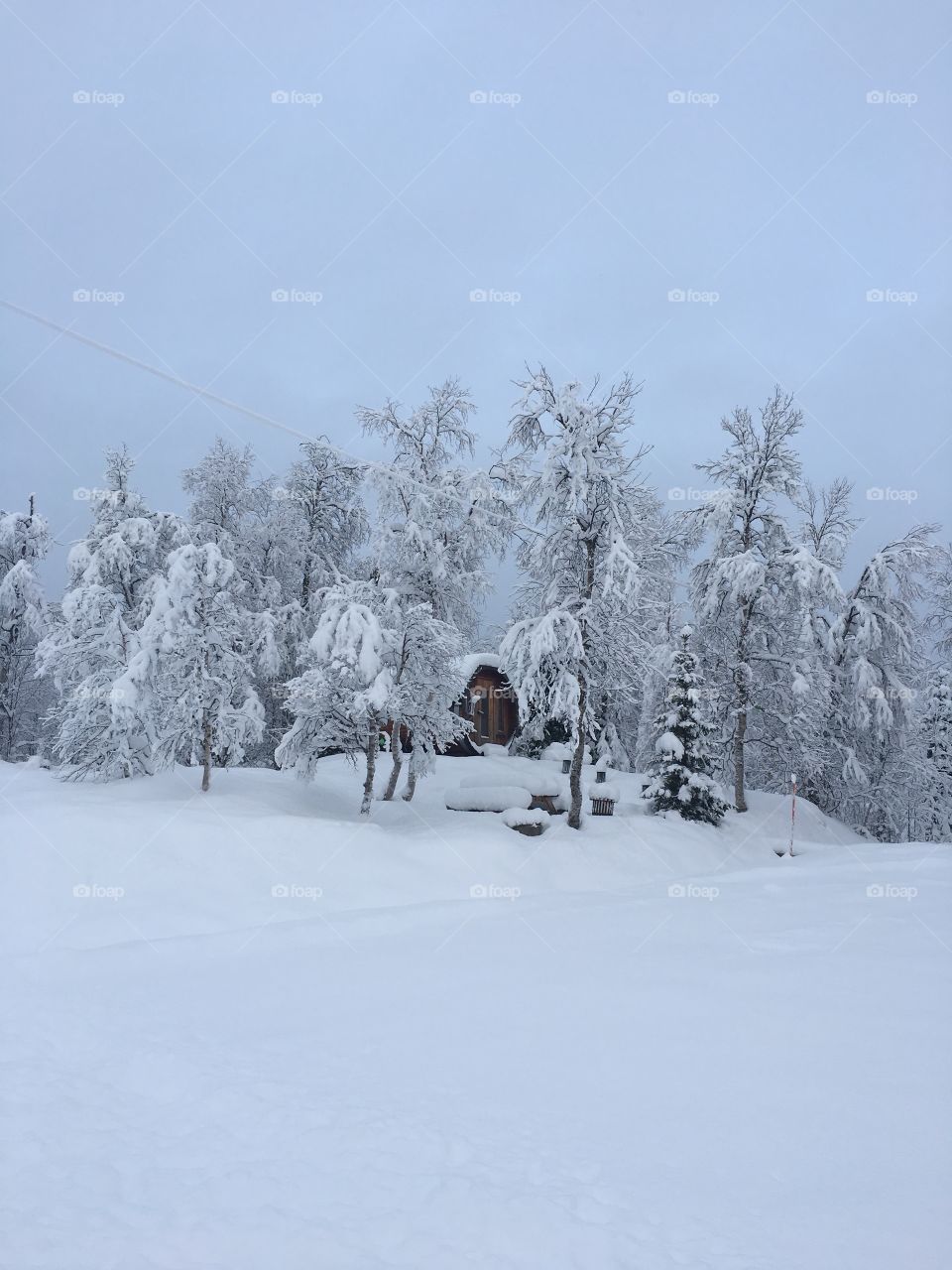 House in snowy landscape. 