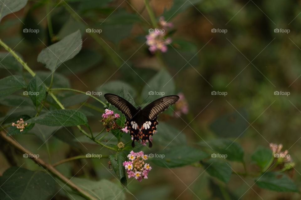 Nature is so beautifull capture it because every moment nature is changed