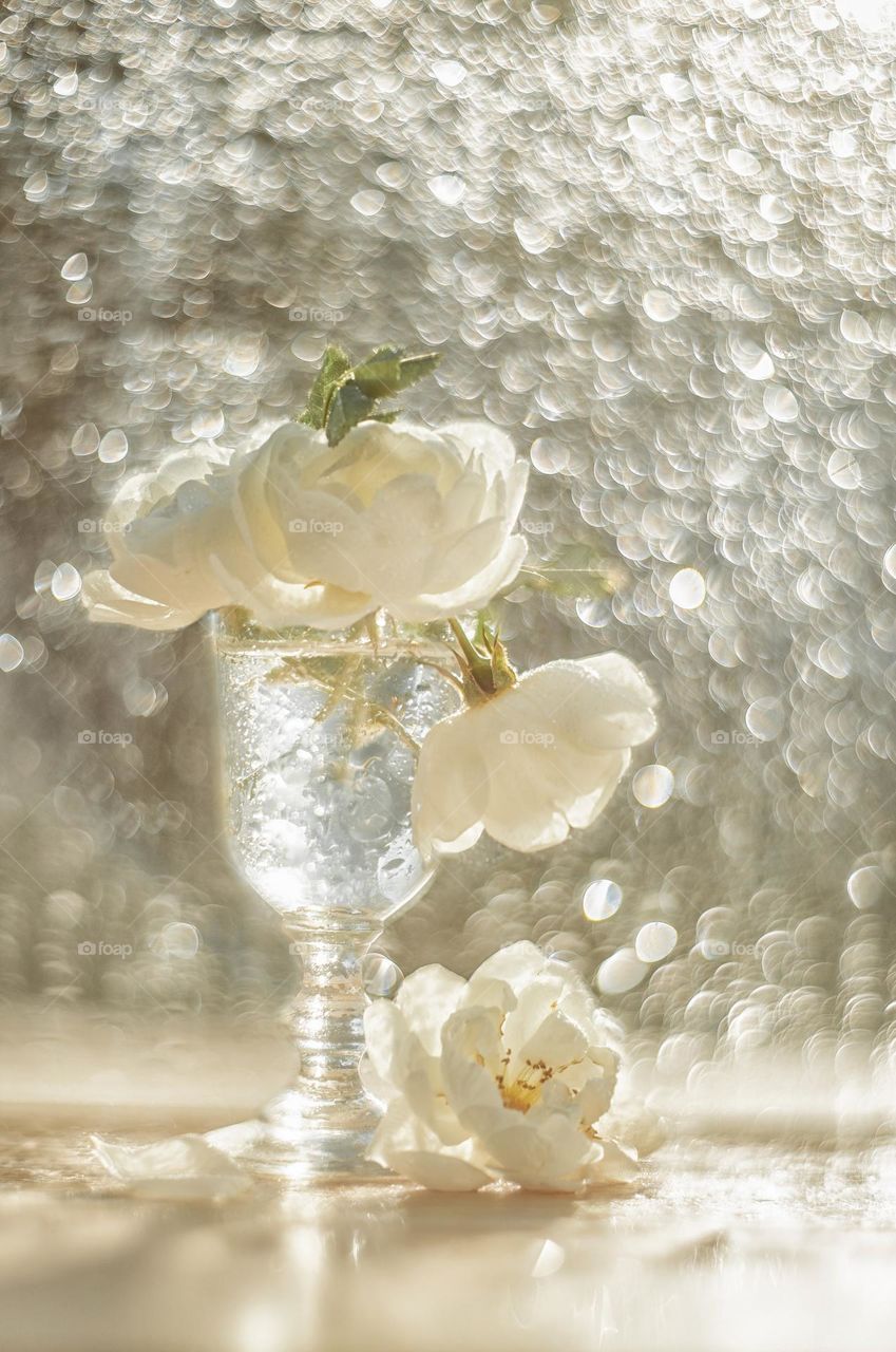 Bokeh light by water drops 