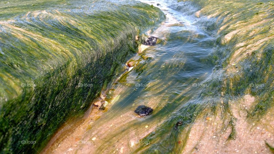 Porto de galinhas, Pernambuco, Brazil