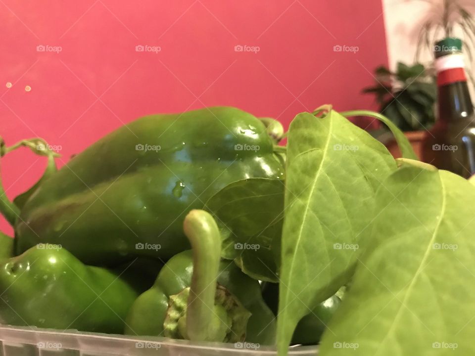 freshly picked green peppers
autumn vegetables