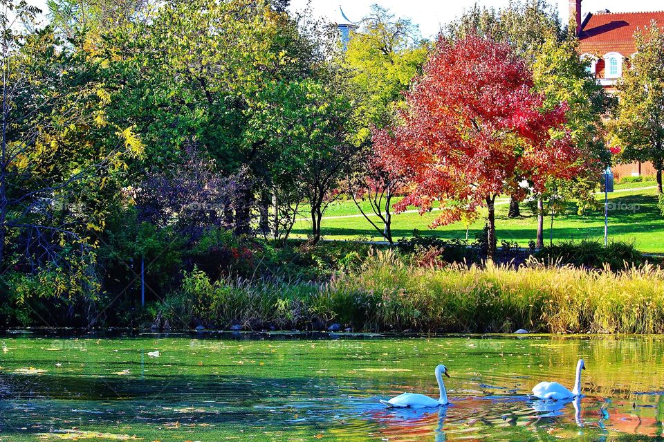 Ames Iowa Fall