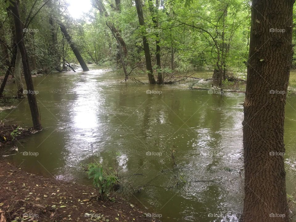 A rainy day, overflow of a river