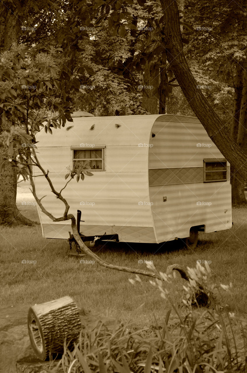 Take the Nostalgic Way Home ( Series )