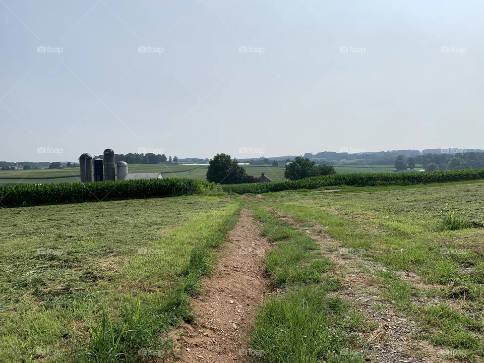 FArm