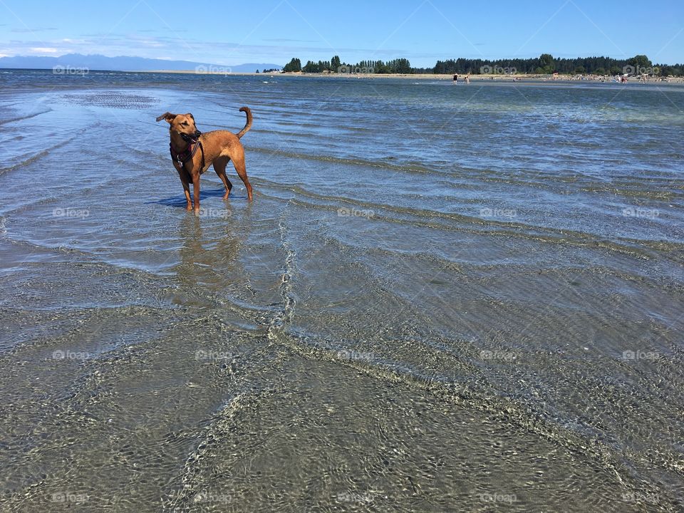 Enjoying the beach