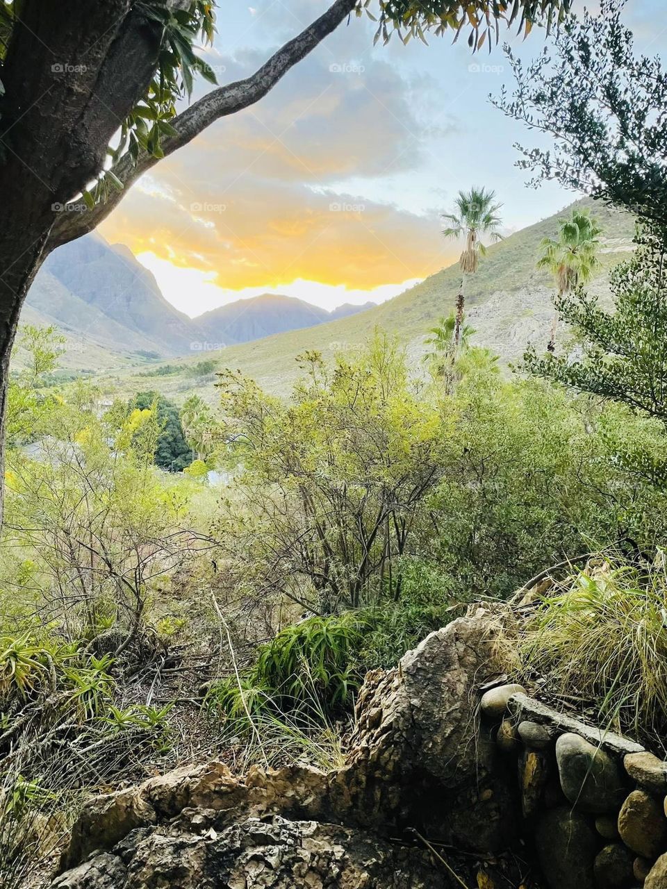 Like going into destiny. 