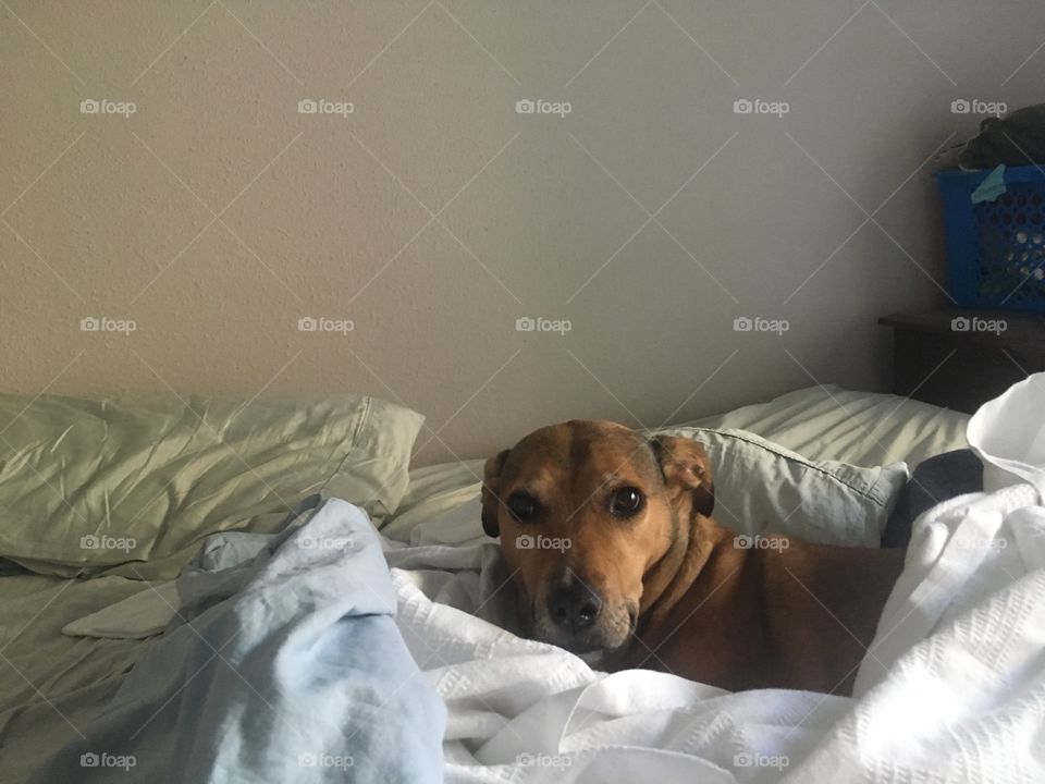 Sleeping in during the summer .