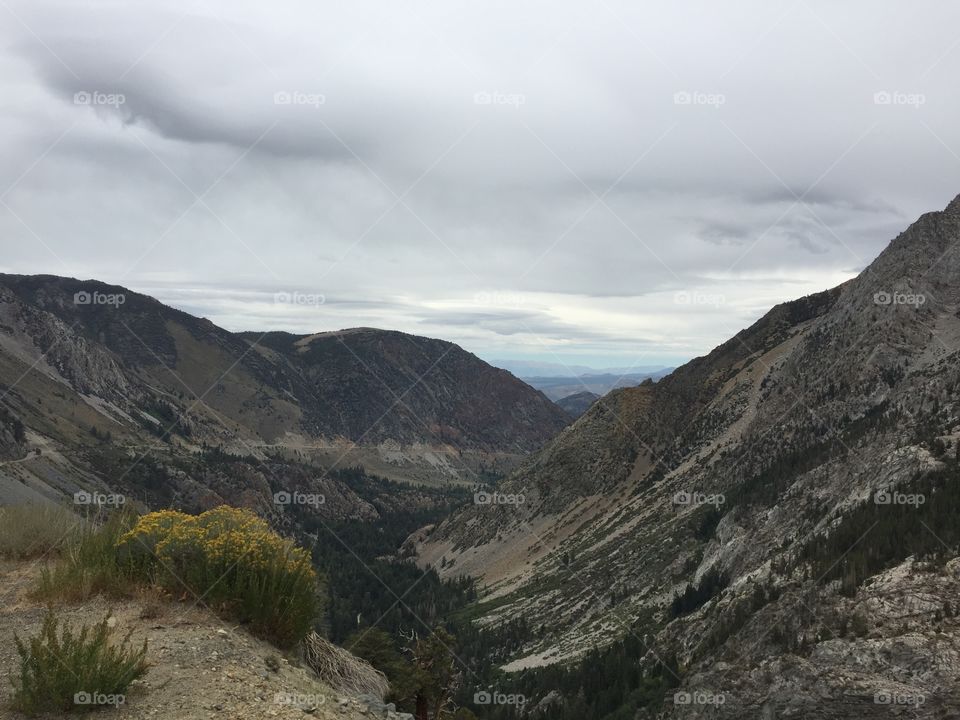 Scenic view of mountain