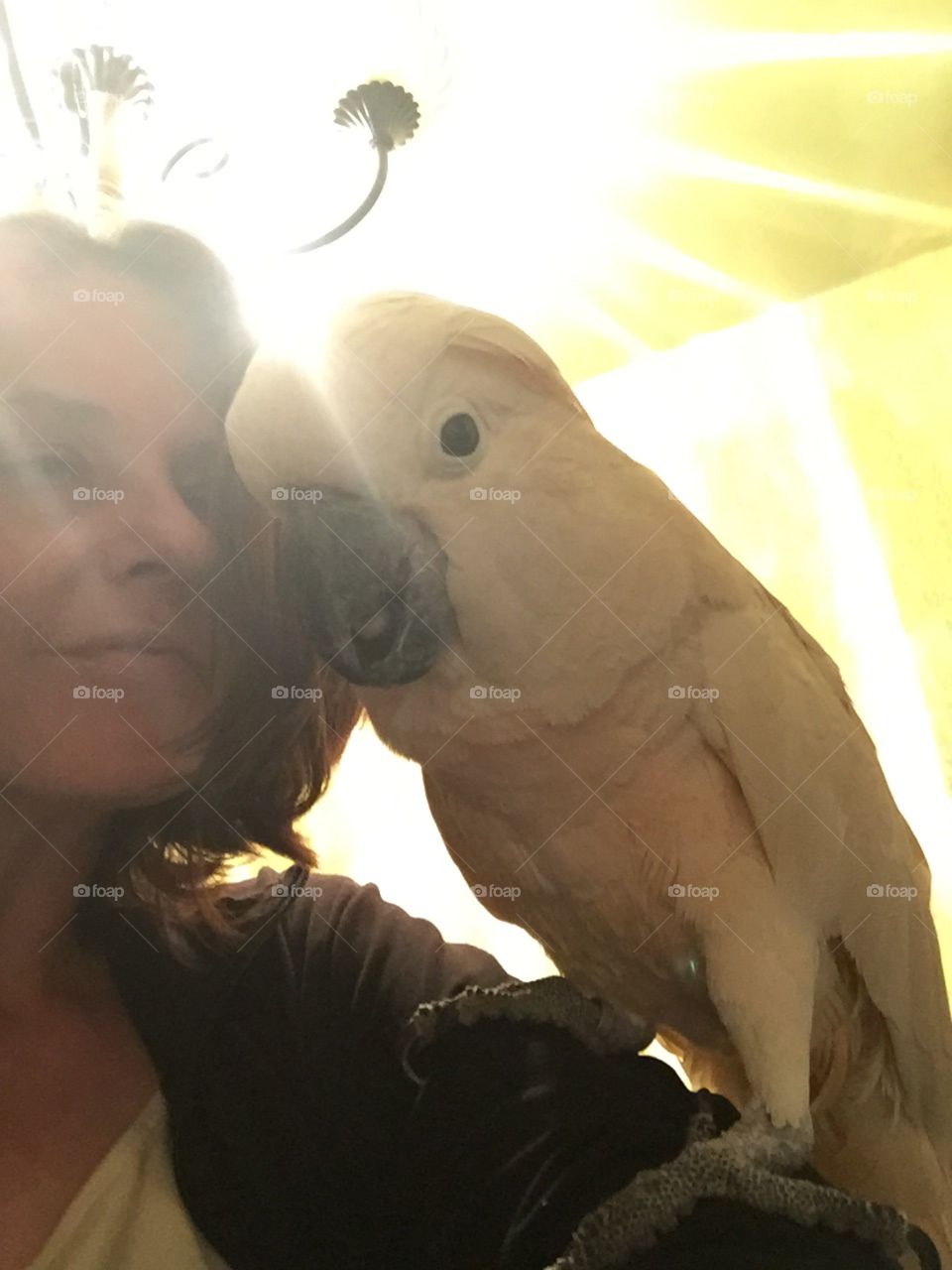 Bird, Portrait, People, Love, One