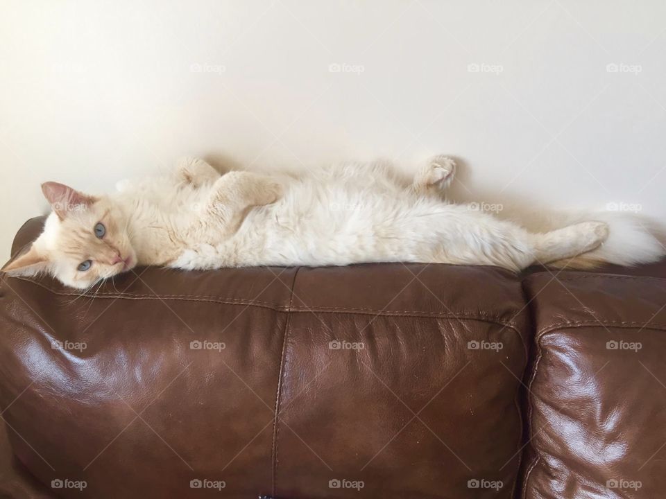 Cooling in down 😂