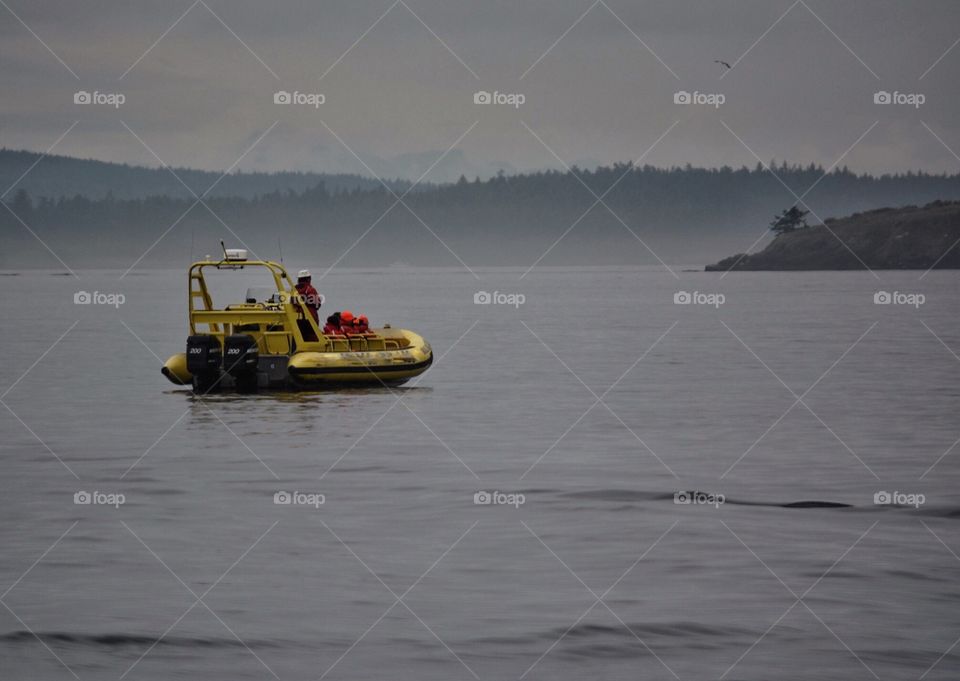 Going out to sea in the Pacific Northwest in the morning fog