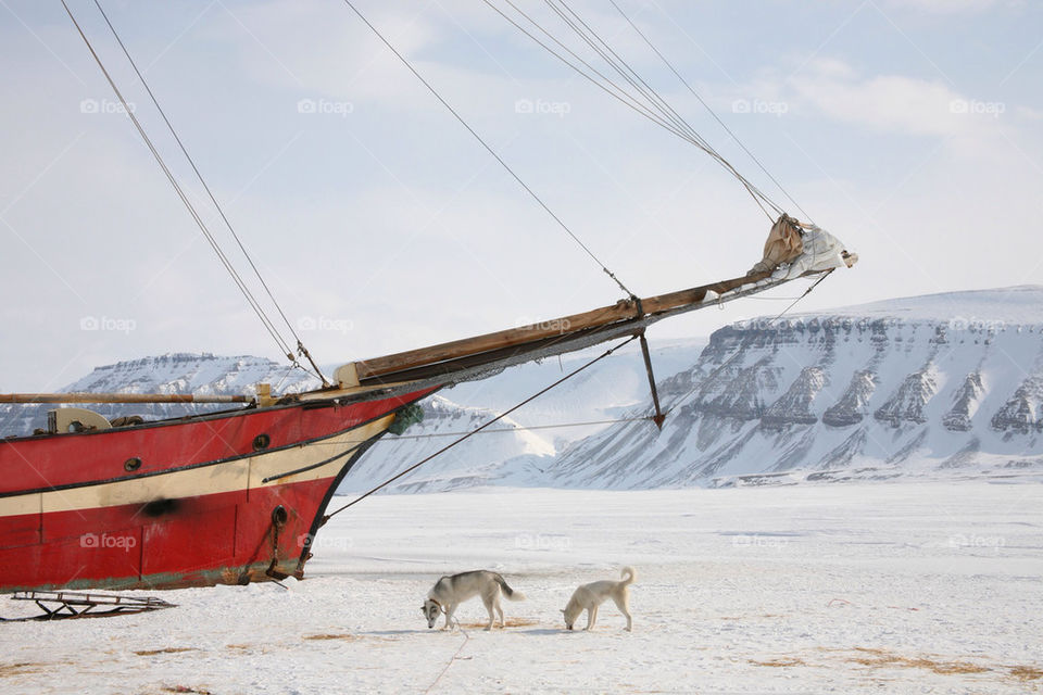 Ship frozen in ice.