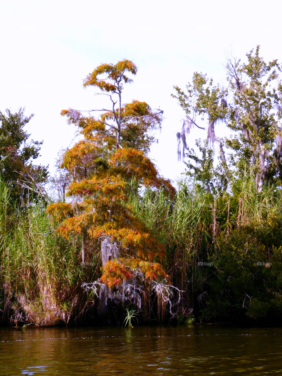 Autumn has. Arrived!! 