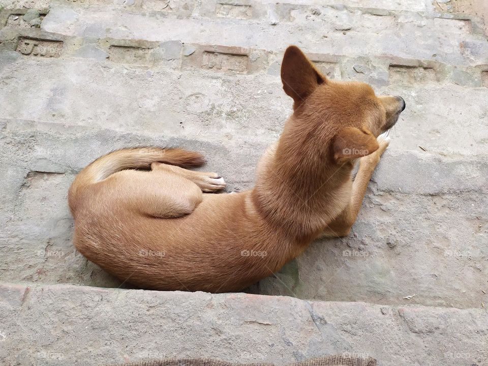 i am taking rest do not harm me let me sleep