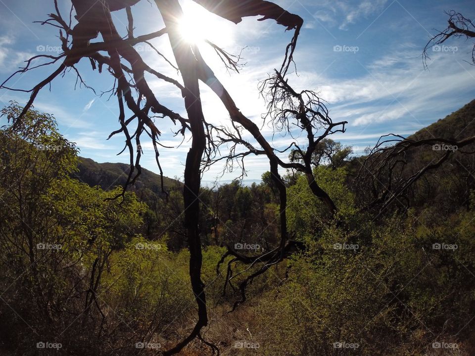 On the way to the falls