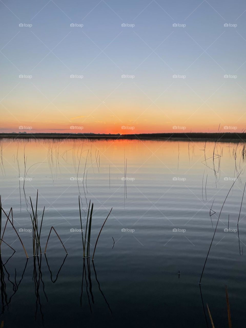 Sunrise Pure Michigan