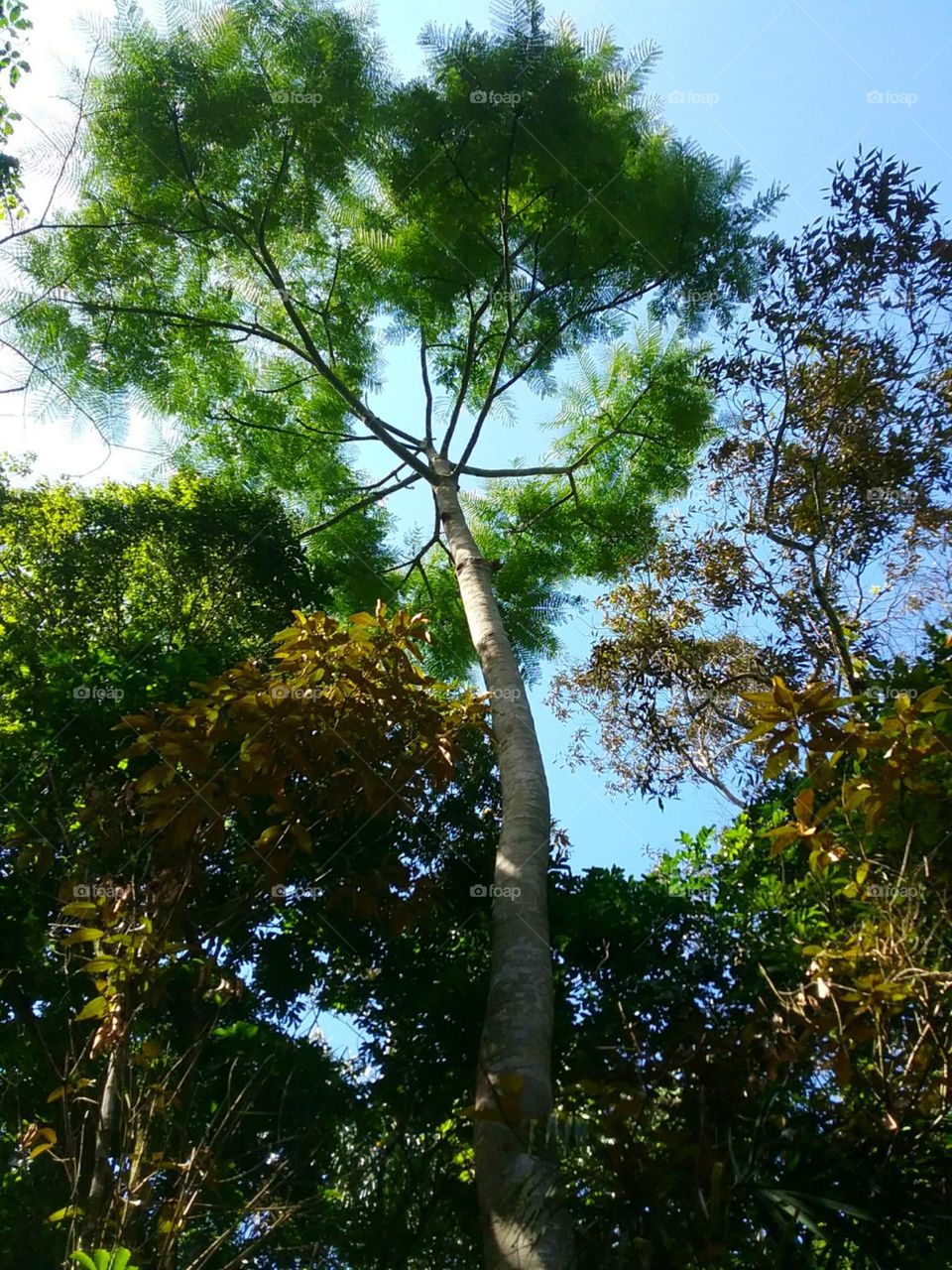 Tons e cores escolhidos pela natureza.