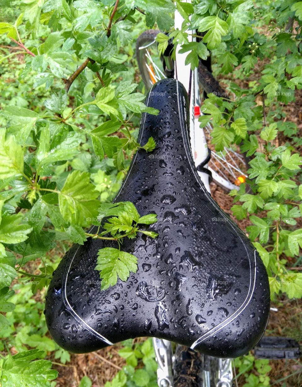 bike in forest