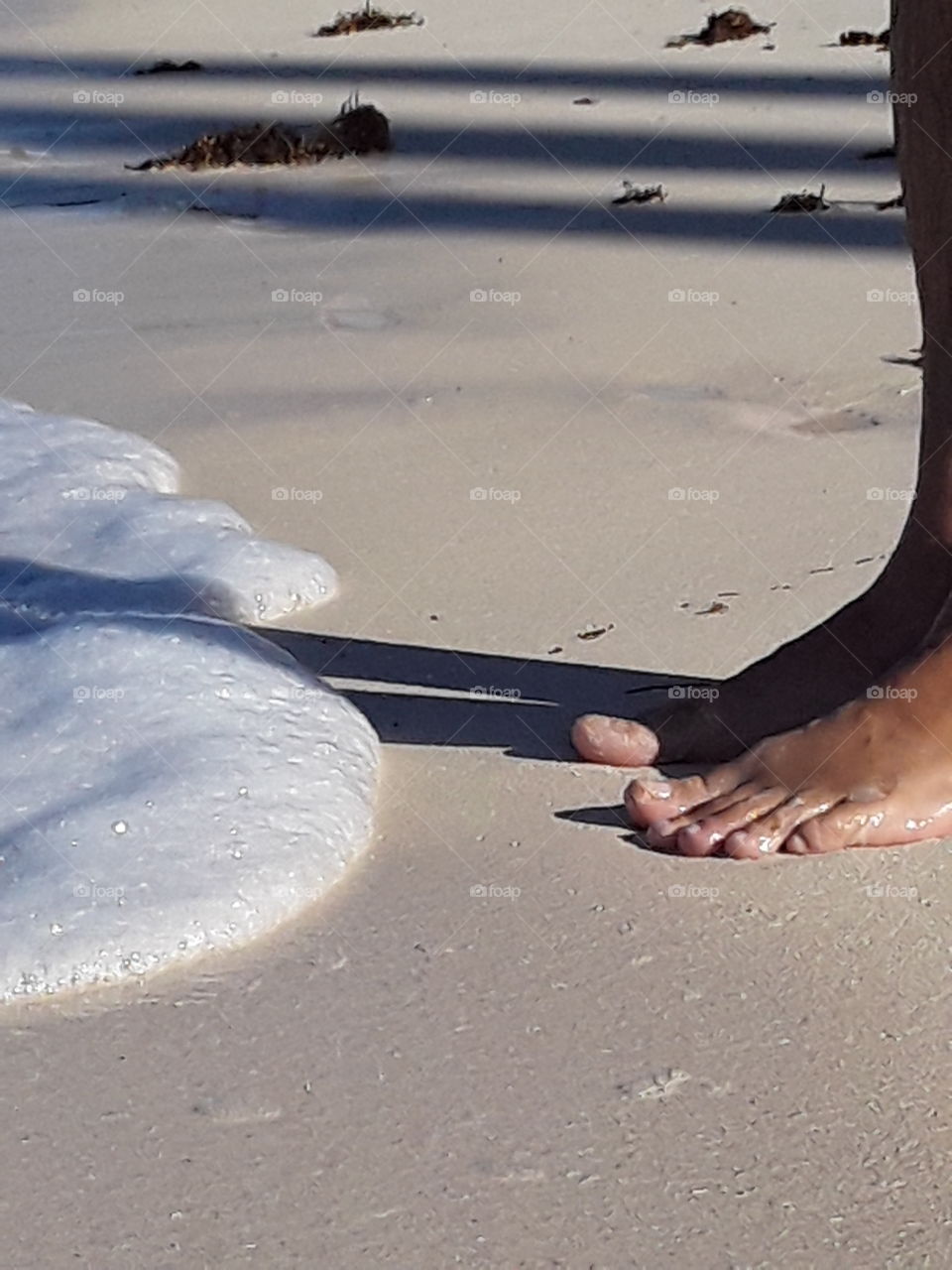me and the ocean. evening walk by the ocean gentle waves gentle foam sun of a passing day coral sand all this helps to restore emotions