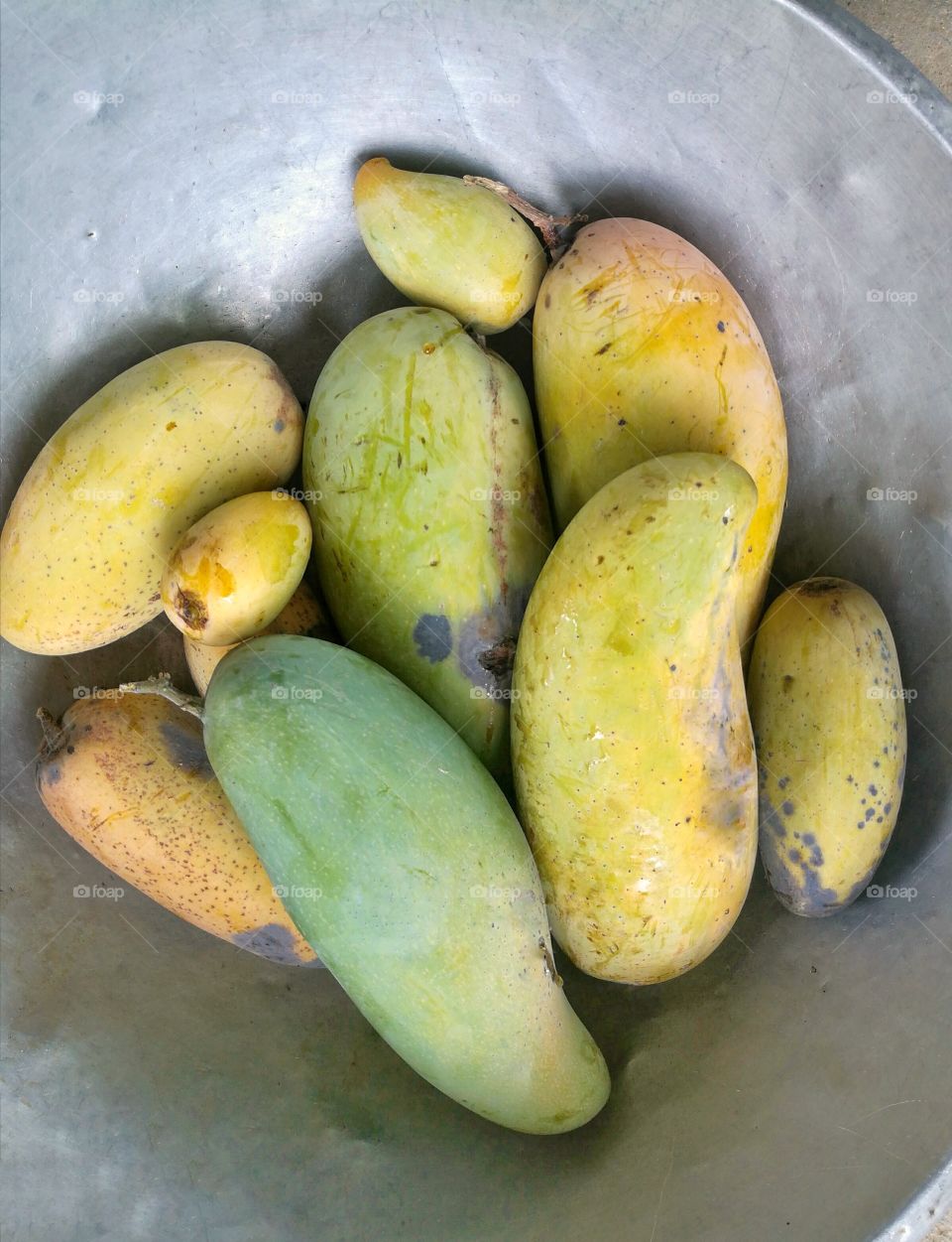 Tropical fruit, Mango.