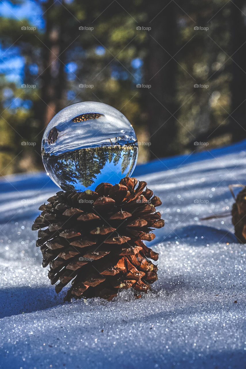 Winter wonderland with lensball and pine cone. In big bear with snow covered ground