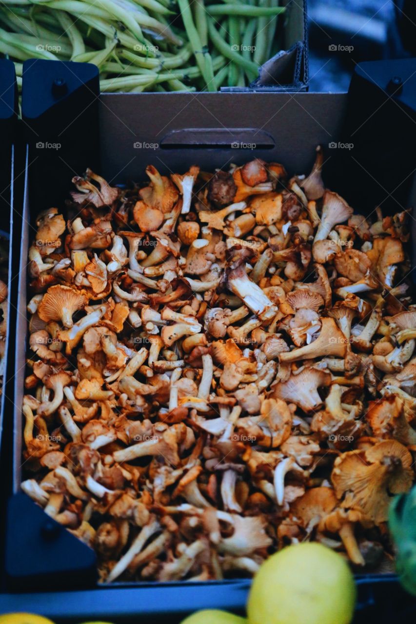 Chanterelles straight from the forest 