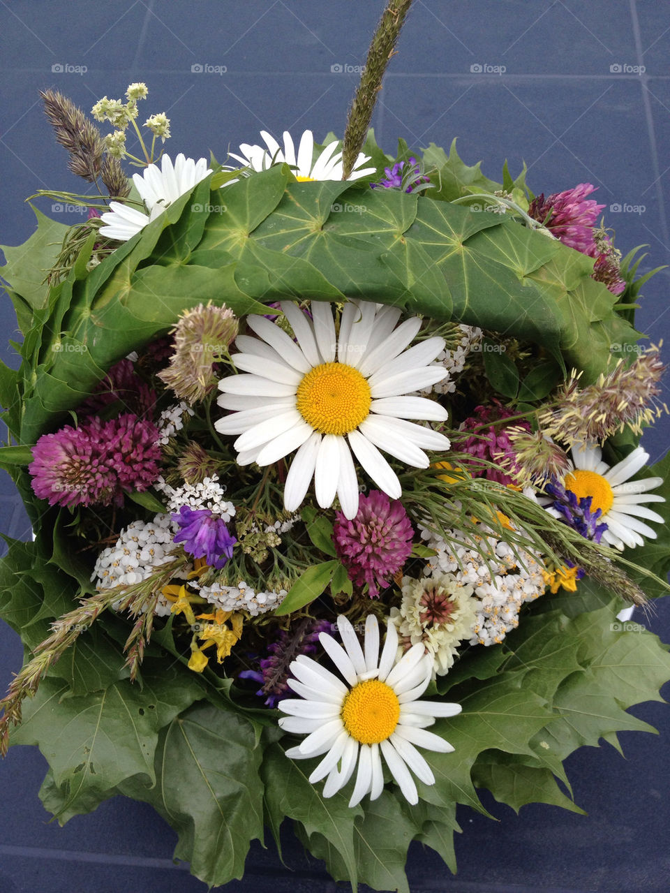 sweden flowers plants basket by casperlo