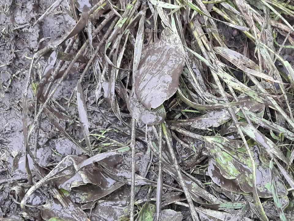 perfect imperfections