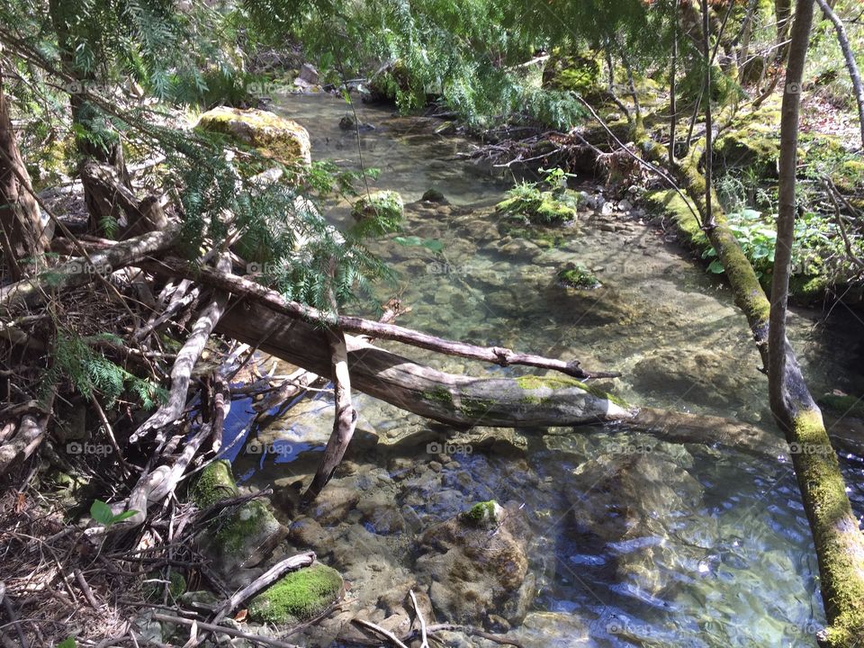 River jungle : la Cagnes adventure !