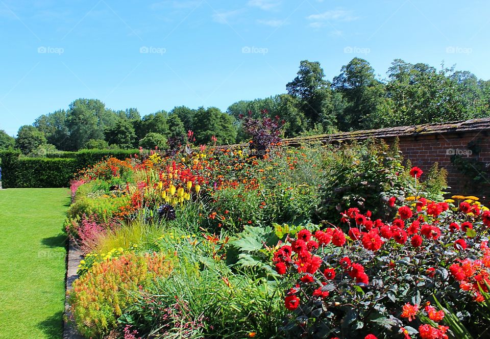 Flower border in an English walled garden