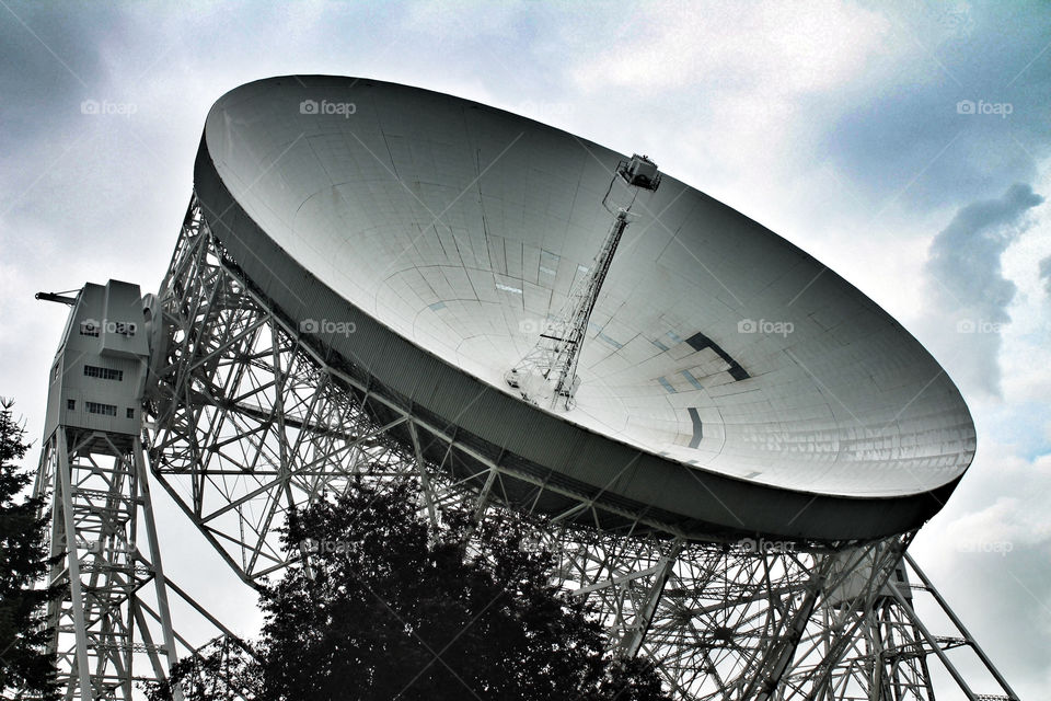 tree radio communication dish by Fotofleeby