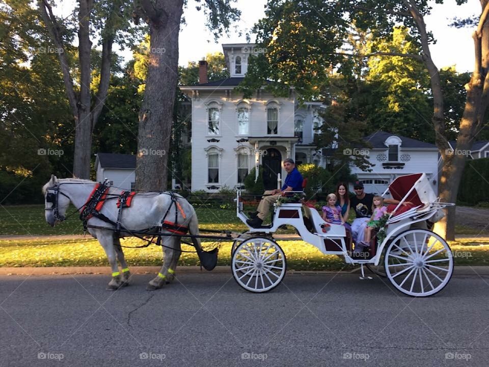 Carriage Ride 